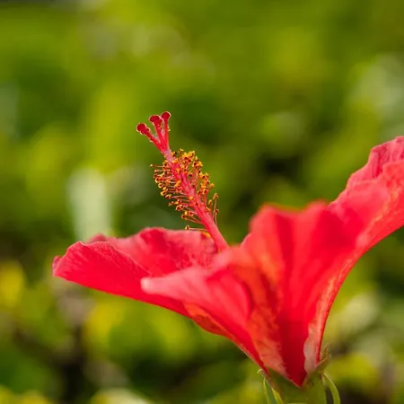 Zula House - Stunning Spectacular Location בית נופש *